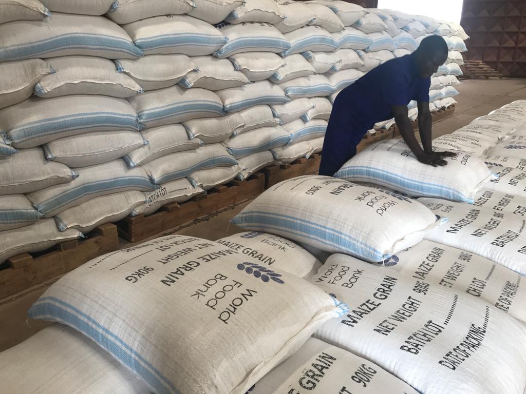 9,700 Farmers, One Record Harvest: Maize in Hoima